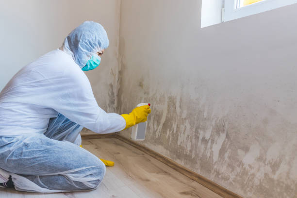 Licensed Mold Testing service in Cape Charles, VA - WQB Mold Removal