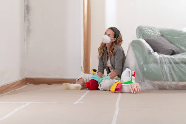 Reliable Mold Testing contractor in Cape Charles, VA by WQB Mold Removal