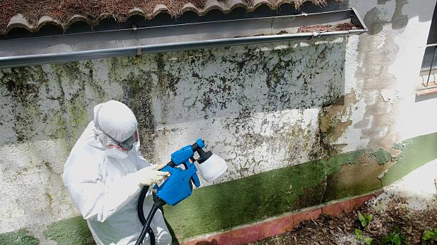 Top rated local Mold Testing specialists in Cape Charles, VA
